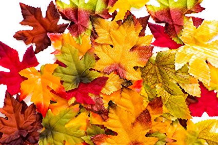 Fall Favorites