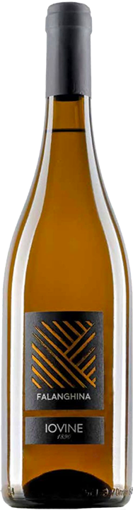 2024 Iovine 1890 Falanghina IGT