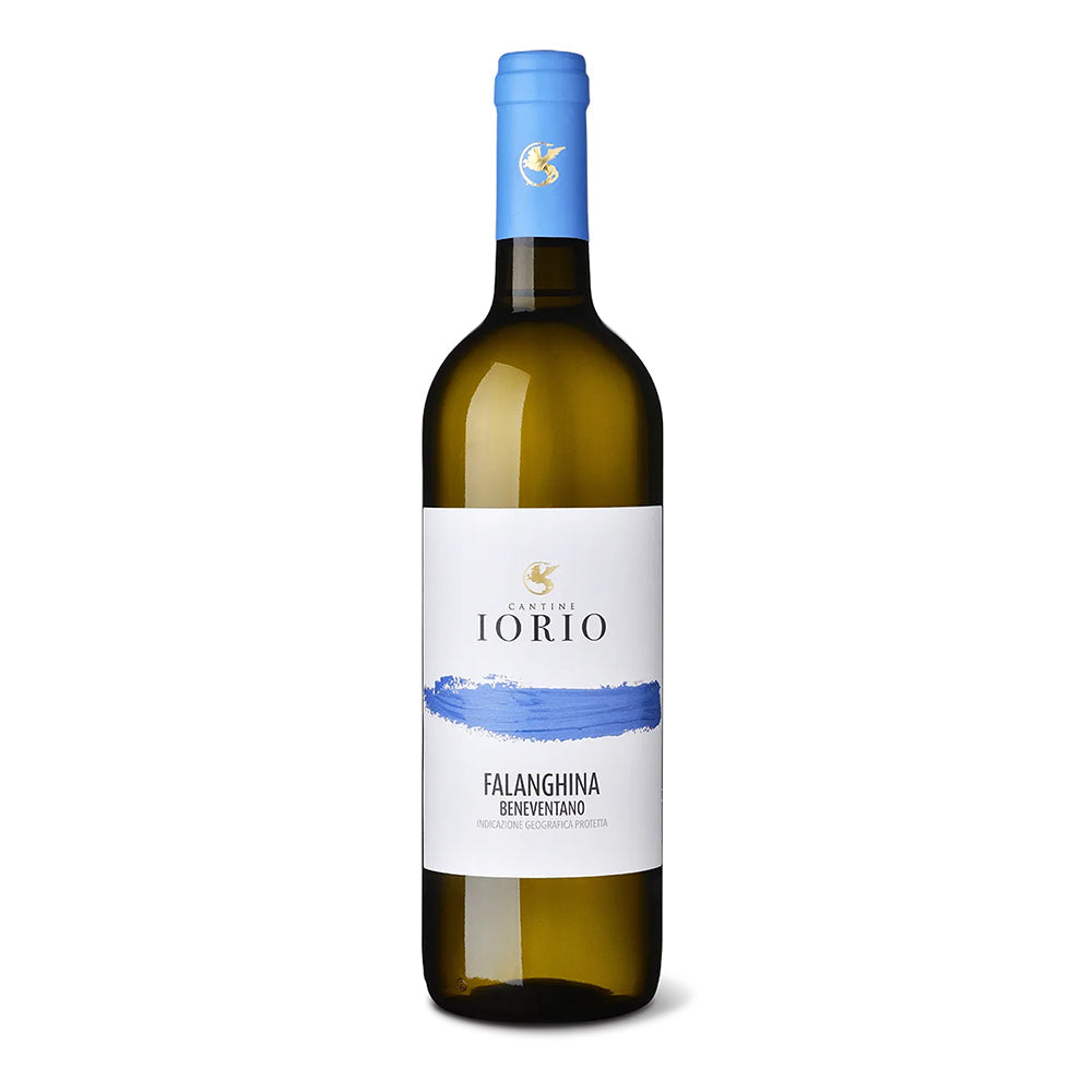 2025 Cantine Iorio Falanghina Beneventano IGT