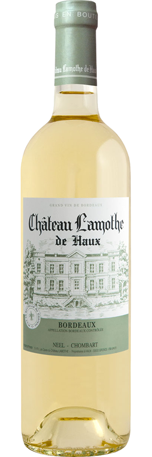 Chateau Lamothe Bordeaux Blanc 2025
