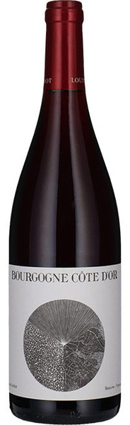 2022 Louis Jadot Bourgogne Cote d'Or Rouge