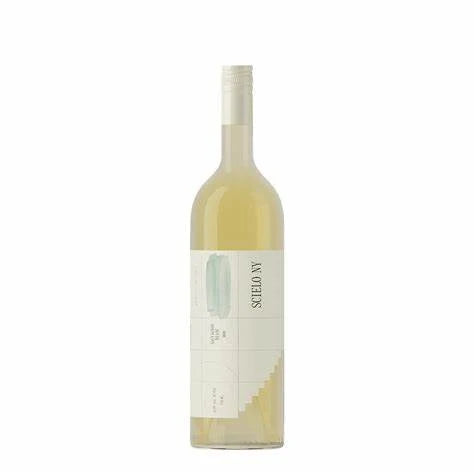 Scielo Ny Sauvignon Blanc RGNY 2025
